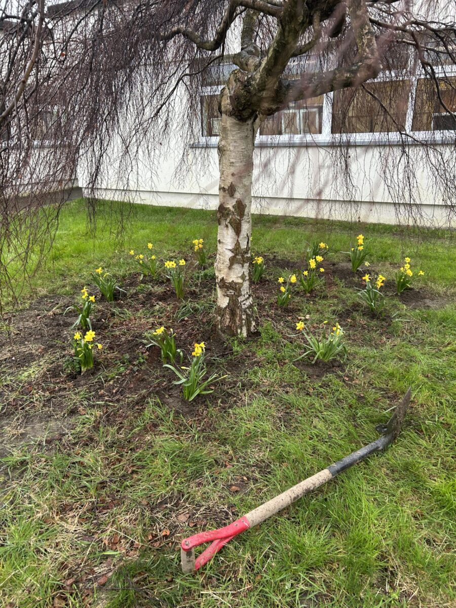 b677c087 340d 4456 8787 04c241466865